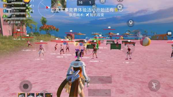 突破游戏界限:探索和平精英辅助工具的神秘世